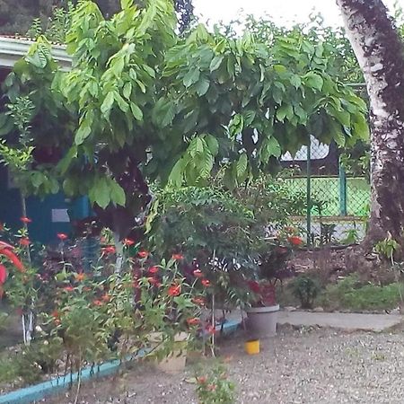Cabinas Surf Side Cahuita Exterior foto