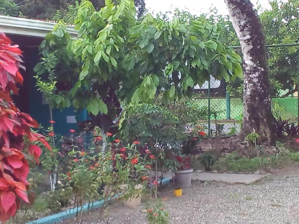Cabinas Surf Side Cahuita Exterior foto